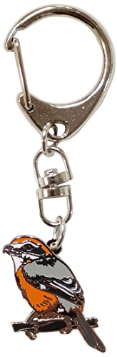 쒹 Y L[z_[ 쒹 ObY  o[hEHb`O nCLO R  C 