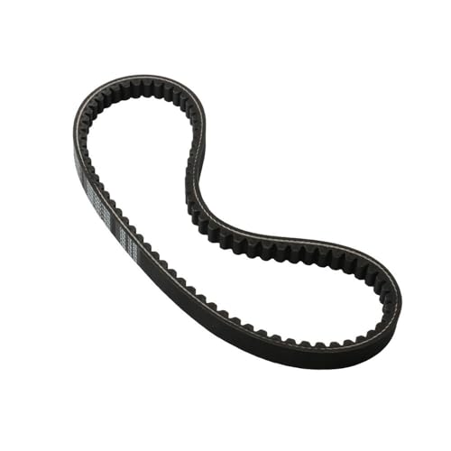 Courroie CVT 799 19 28 pièce moteur scooter Fiddle 125 Orbit 2