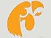 NCAA University of Iowa 80311010 Perfect Cut Color Decal, 8