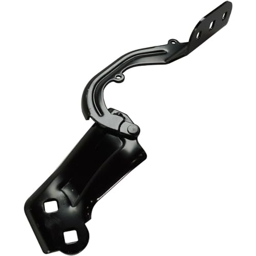 VIRAZE 1pc Hood Hinge Assembly Right Passenger Side Black FO1236153 CP9Z16796A 14584435