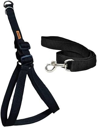 DYS Pets Dog Belt Combo of 1 inch Black Padded Dog Body Harness with Handle Black Dog Leash, Adjustable Chest Size Dog Harness & Leash (Medium, Black) (B09BR2CH8H) Amazon Price History, Amazon Price Tracker