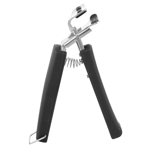 VERDANVERSE Lb`pϔMXeX{ENbv ~߃nht @\zbgv[gt^[ Ɨp H펝グ⏕