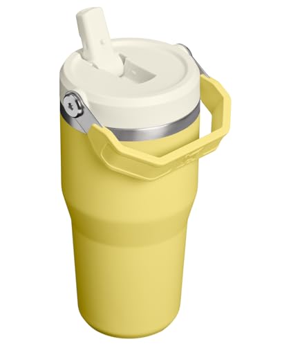 Image of STANLEY IceFlow 2.0 Flip Straw Tumbler with Handle 20 oz | Twist On Lid and Flip Up Straw | Leakproof Water Bottle | Insulated Stainless Steel | BPA-Free | Daffodil
