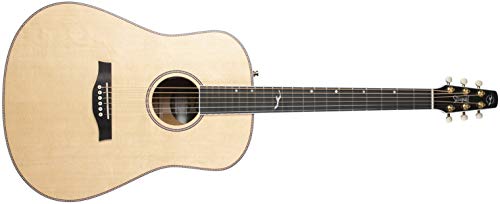 Seagull Artist Mosaic Anthem EQ