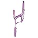 Harry's Horse Halsterset Initial, Farbe:Violet, Größe:Pony