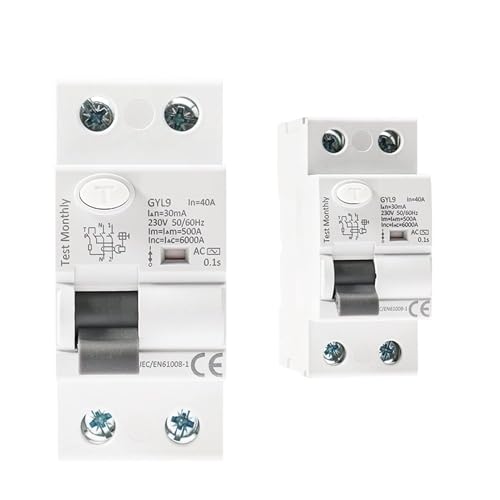 Interrupteur différentiel RCCB GYL9 2P 100A 300mA type AC disjoncteur électromagnétique ELCB