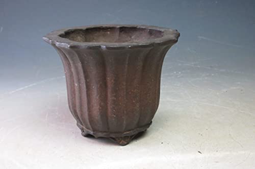 Amazon｜市之倉石州 紫泥古鏡型盆栽鉢 中古品【現品】｜観葉植物