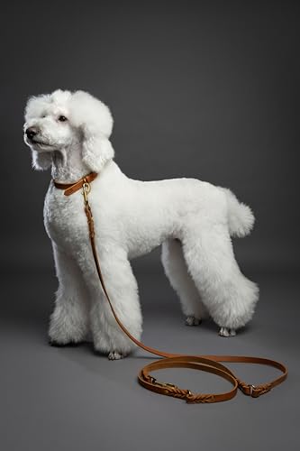 NOAH & PAW Leather Dog Leash, Premium Oil-Waxed Leather Braided, 8 ft Long Dog Leash with 6 Ways to Use Hands-Free, Quick-tie, Double Pet Lead Etc. Matching Collar Available. (Camel) - Image 7