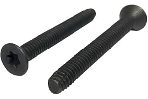 Trailer Floorboard Screws: 200 Pack of 5/16-18 x 2 1/2 Inch T40...