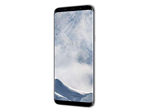 Samsung Galaxy S8 + Smartphone (Display Touch da 6,2 pollici, memoria 64 GB, Android) argento titanio