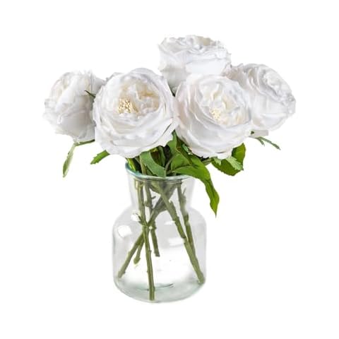 DuHouse 5Pcs Silk Roses Fake White Roses with Stems Real Touch Rose Artificial Flowers for Arrangement Wedding Party Home Decoration Cover