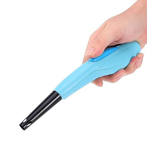 Gas Lighter for Cookers and Candles, Camping Picnic Cookout BBQ Oven Candle Electronic Lighter Flameless Lighters (Green)