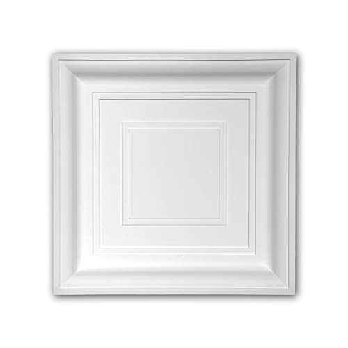 Panel de pared 157002 elemento para techo blanco que transforma estancias viejas 2