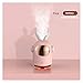 Nawilżacze do sypialni Mini Space Królik Ultradźwiękowy Nawilżacz Desktop Cute Decoration Night Light Mist Maker 350ml Dyfuzor wody Nawilżacze do domu (Color : Pink Battery)