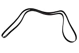 General Motors 12576455, Serpentine Belt