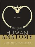 Principles of Human Anatomy