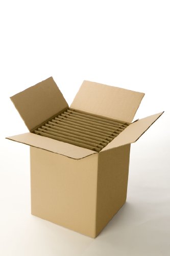 Carton 24 assiettes