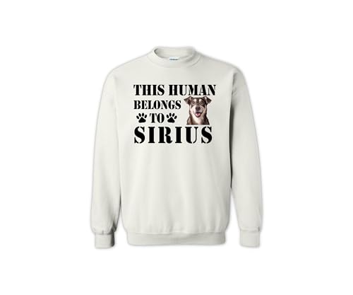 This Human Belongs To Sweatshirt, Family Pet Custom Image Sweatshirt, Customized Picture Dog Sweatshirt, Animal Lover Gift Sweatshirt, Cute Animal Owner Sweatshirt3