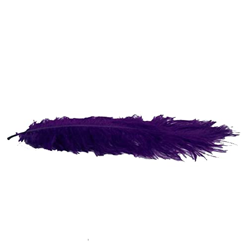 Kolight® 100Pcs Ostrich Feather Purple 10"-12" Natural Feathers Wedding, Party,Home,Hairs Decoration #TOP2
