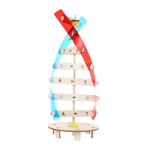 BESPORTBLE Kit de Modelado DNA DIY Doble Educativo Científico para Aula y Aprendizaje Interactivo de Biología