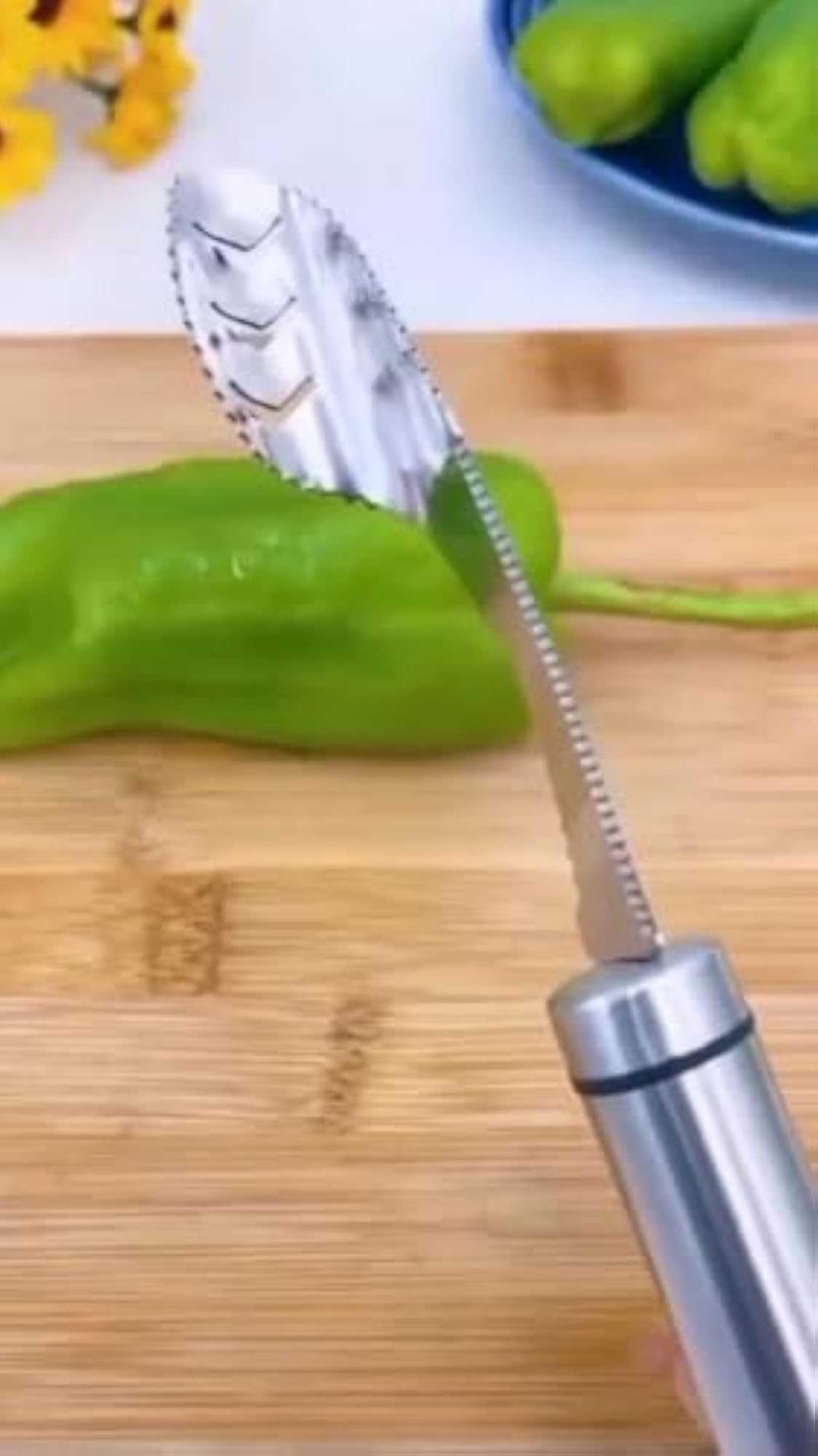 Stainless Steel Chilli Corer & Seed Remover Tool