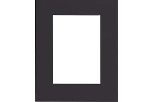 18x24 Acid-Free Display Mat with Black Core & 16x20 Opening for Pictures