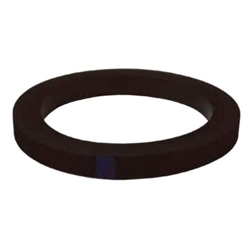 Dixon Valve 400-G-BU, 4