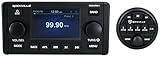 Rockville RGHR51 5 Zone Single Din Marine Receiver Bluetooth/Radio/Wired Remote