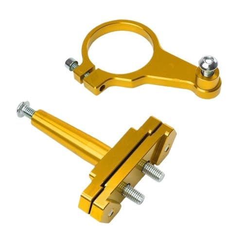 R15 R 15 V3 XeAOX^rCY_p[ I[goCXeAOX^rCY_p[uPbg ANZT[ 2018-2020(Gold)