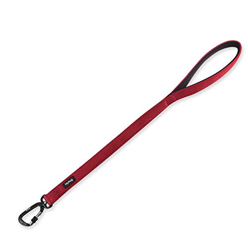 Correa Corta Resistente de 61 cm de Longitud con asa cómoda y Correa de Aluminio de aviación Ligera para Perros Grandes y medianos. (Rojo) Cover