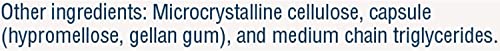 Renew Life Probiotics For Women, 50 Billion Cfu Guaranteed, Probiotic Supplement For Digestive, Vaginal & Immune Health, Shelf Stable, Soy, Dairy & Gluten Free, 60 Capsules #TOP6