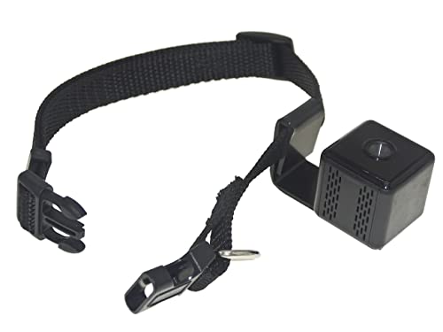 Digital Pet Collar Cam Camera Dvr Video Recorder Monitor For Dog Puppy Little Bigger Size Use Black (With Tf Card 8Gb) #TOP1