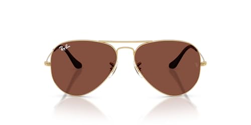 Ray-Ban (���C�o��) �T���O���X 0RB3025 AVIATOR LARGE METAL ARISTA RED (���b�h) 58mm