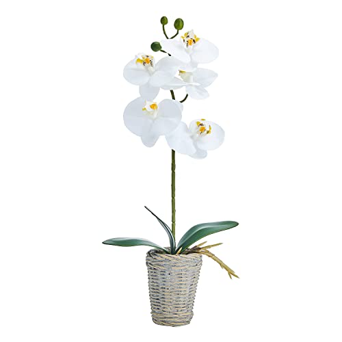 Mikasa Artificial Orchid In Pot, Real Touch Phalaenopsis Orchid, Embossed Basket Weave Cement Pot, 16-Inch Single Branch, White/Yellow #TOP19