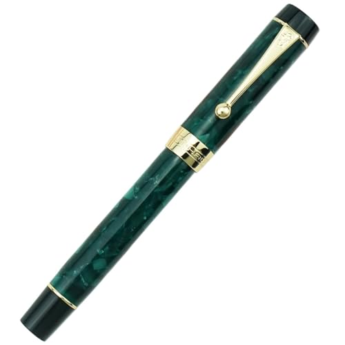 Stylo plume en résine de haute qualité avec plume moyenne encre fluide bureau