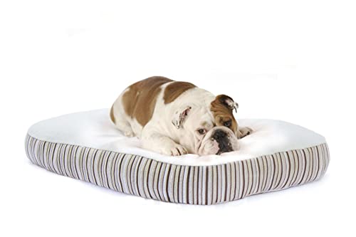 Kingston Organic Dog Bed
