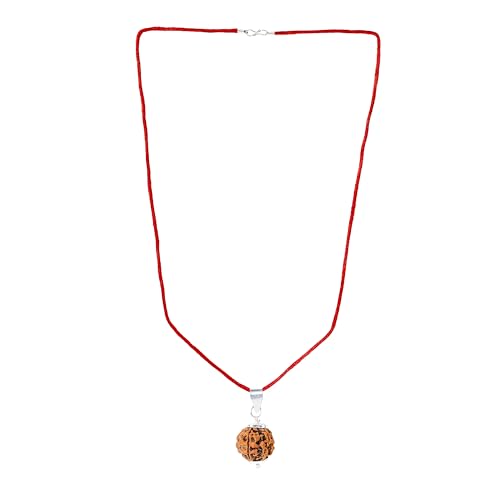 Image of Divine Hindu Original 5 Mukhi (Five Face) Indonesia Rudraksha |Panch Mukhi Rudraksh Bead for Meditation, Protection & Spiritual Growth | Natural Rudraksha for Men & Women | Prayer Bead for Success