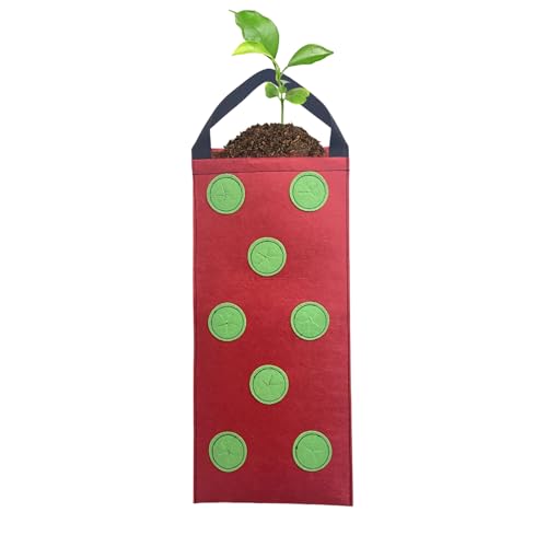 Generisch Bolsa de plantación de fresa