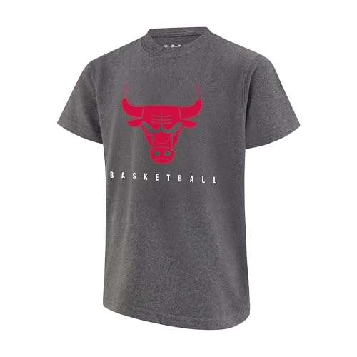 Image of Ultra Game Boys NBA Official Super Soft Game Time T-shirt & Shorts Set