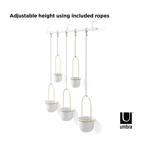 Umbra Triflora Hanging Planter, Set Of 5, White/Brass #TOP3