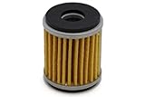 Yamaha Oil Filter, #5D3-13440-09-00