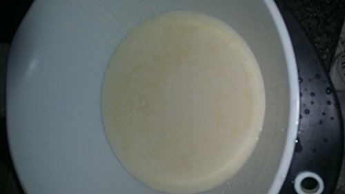 Live Organic Milk Kefir Grains