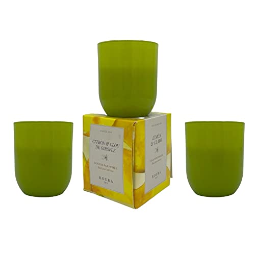 Roura Vela Citronela Antimoquitos Interior y Exterior, Jardín, 100% Natural Candle Cera de Soja, Verano Regalo Vela Aromaticas Perfumada con Citronella,per camping/hogar/picnic/fiestas Cover