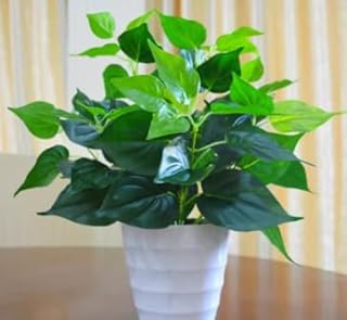 Artificial Pothos Leaves Faux Greenery Stems Decor Artificial Green Branches Leaves for Wedding Flowers Bouquet Home Decors