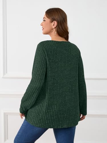 Image of BELAROI Womens Plus Size Sweaters V Neck Fall Tunic Top Pullover Shirts