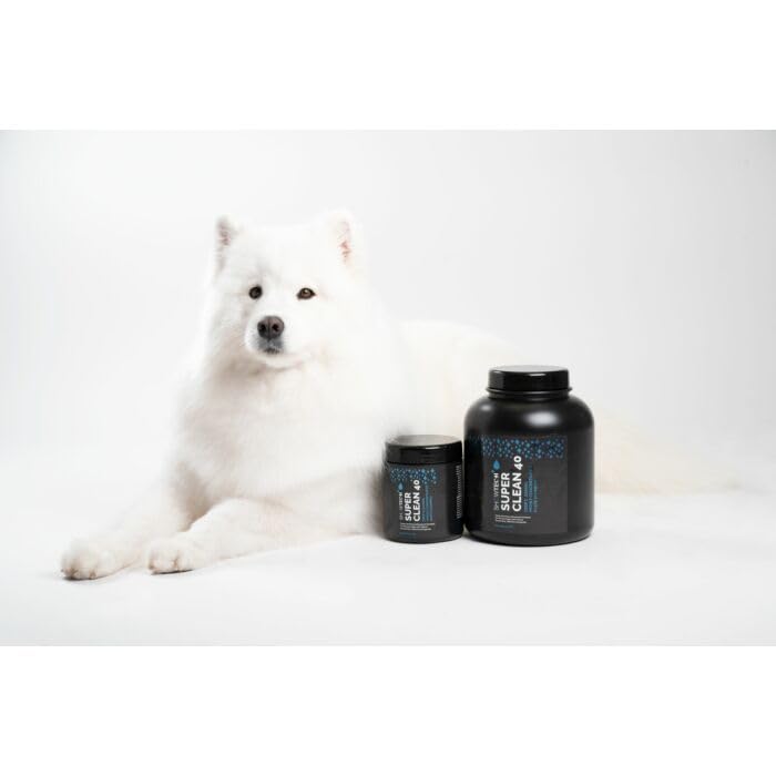 View 5