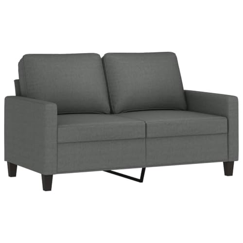 vidaXL Sofá de 2 plazas de Tela Gris Oscuro 120 cm