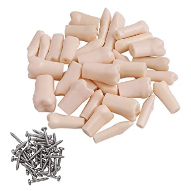 NMD Dental Dental Models Typodont 32 Teeth Replace Practice Model Fit Nissin 500 Dentist Teaching Study Exam Practice Filling Simulation Training (32 Pcs Set Spare Practice Teeth) 32PC/PK