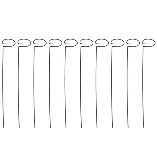 NOLITOY  ANC~Ot[ 10 t[X^h AT|[g K[fjOc[ O Ax ͔|p