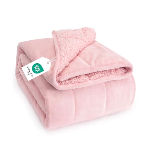 Image of Topblan Sherpa Fleece Weighted Blanket for Adults, 15lbs 60 x 80 Queen Size
